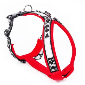 Harness Smart Red 1 1